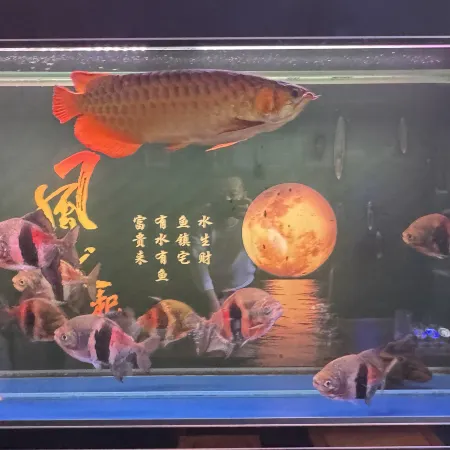 QIANNA HOTEL (Chifeng Songshan Government Songshan Wanda Plaza)