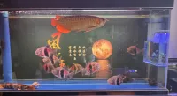 QIANNA HOTEL (Chifeng Songshan Government Songshan Wanda Plaza) - Træningscentre