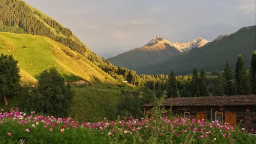 Qiongkushitai Xiyeji · Songyu Stream Homestay