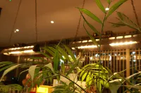 James Joyce Coffetel (Dujiangyan Municipal Government) - bar