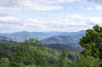 Jingmaishan Gukang Mingye Homestay (Princess Banyan Tree) - Mountain view