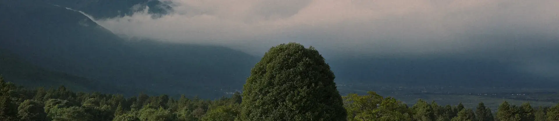 Alberghi di Lusso