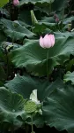 溫馨小城民宿（世茂廣場店） - 2 星級