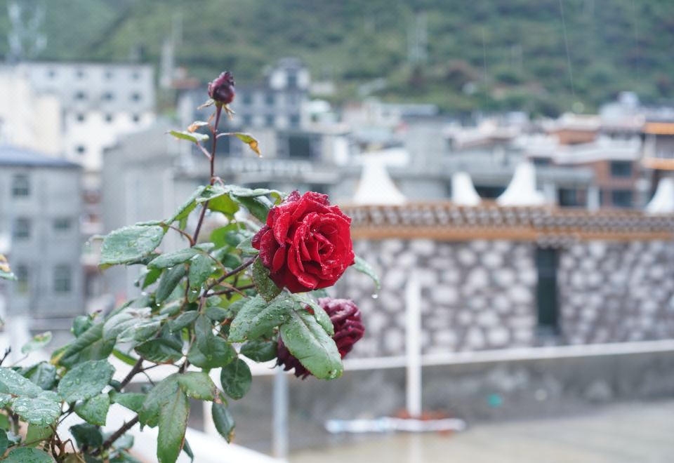 Wangshan Xili Homestay