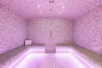 Citadines Eurometropole Strasbourg - spa