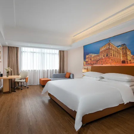 Vienna Hotel (Heyuan High-tech Zone Branch)