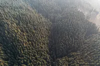 Tireless Forest Hiking Chill Private Hot Spring Homestay - Mountain view