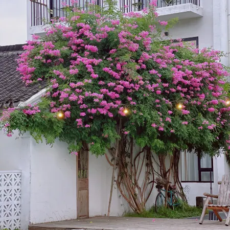 NA NIAN WAN CUN Courtyard GetawayHOME INN
