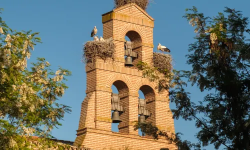 Castilla Termal Olmedo