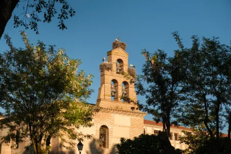 Castilla Termal Olmedo Отели в г. Матапосуэлос