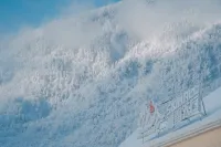 First Forest Hot Spring Hotel FLOWER BAY