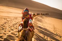 Zhongwei Banye Stars Desert Camping Hotel Hotels in Zhongwei