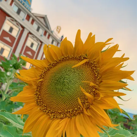 Shiwei Blue Lake Hotel