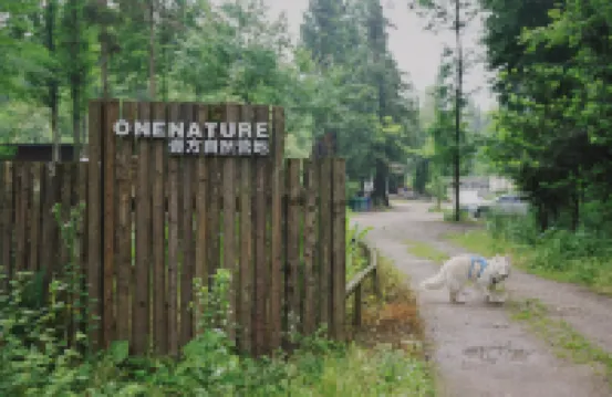 ONENATURE壹方自然溫湯營地