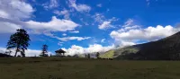 Nyingchi Sangji Zhuoma Family Homestay - Mountain view