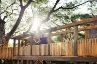 Six Senses Fiji, an IHG Hotel Hotels in Malolo Island