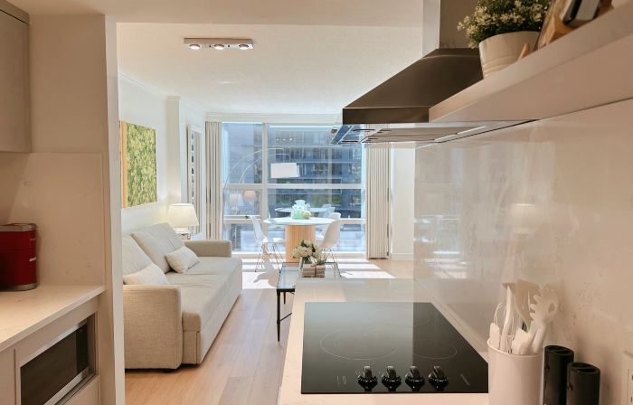 Downtown Luxury Suite w/ Private Kitchen, Laundry, Parking
