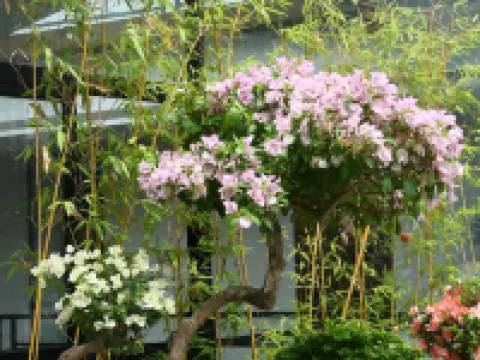 Floral Hotel·Qing yuan Wang shan Xuan Hotel โรงแรมใกล้ภูเขาคิงหยวน