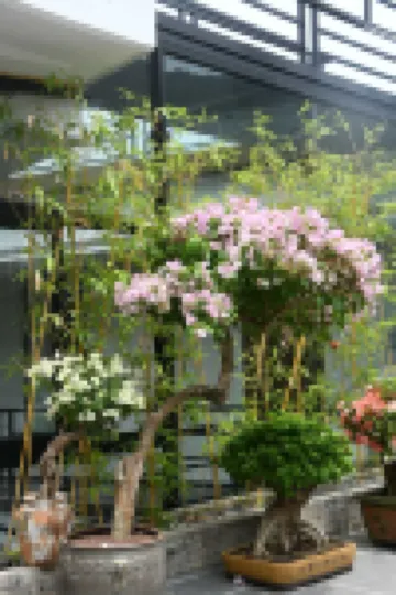 花築·望山軒丨林間煮茶Private·山野靜居（西湖公園清源山店） 泉州酒店