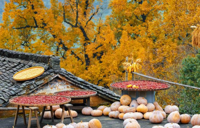 Furong Homestay (Tianjie Branch, Huangling Scenic Area)