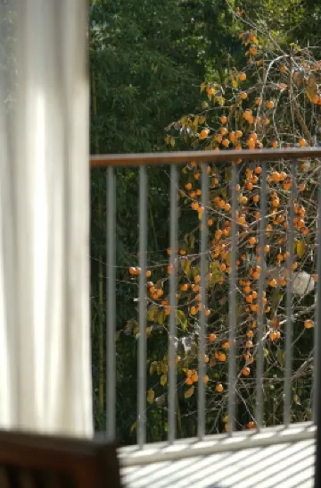 Hangzhou Soul Paradise Hotels near Luci Village