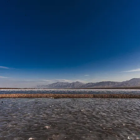 Shanyou Lake Resort Hotel