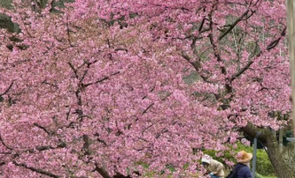 Wuxi Huayi Mingdu Hotel