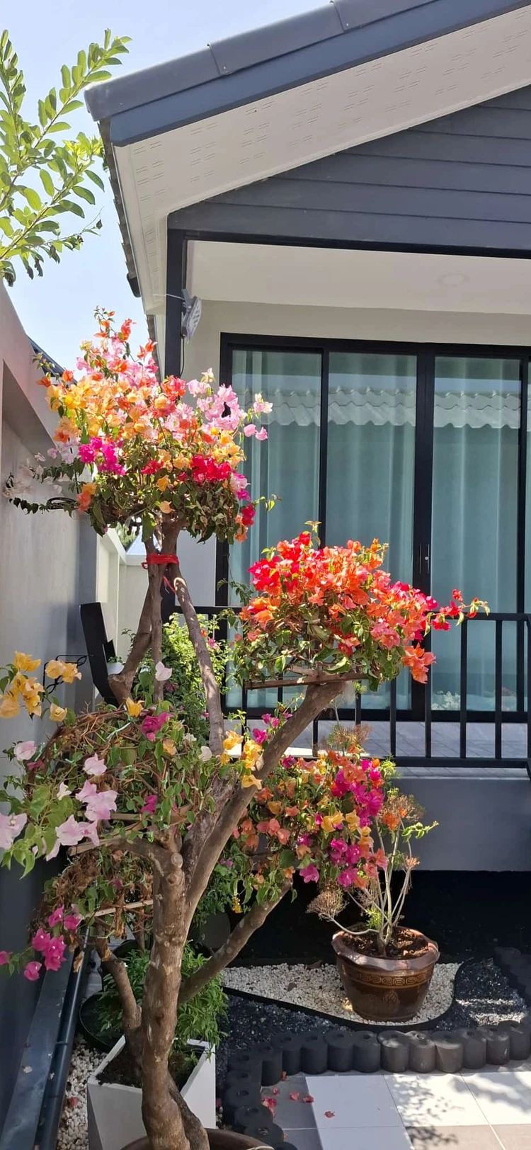 รูปภาพของAmara hotel