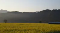 PUSU AROON (Xin'anjiang Branch) - romantici