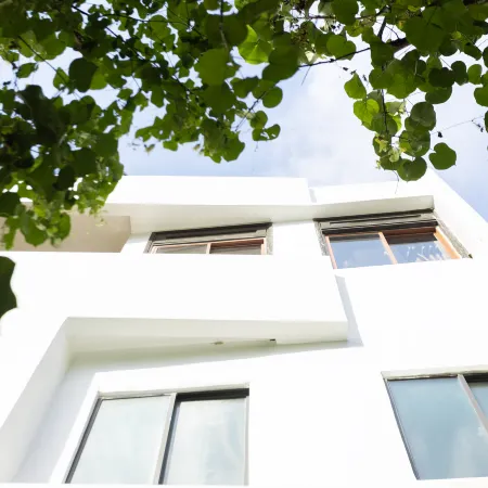 Leafy Home Hue