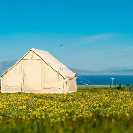Mountain Lake Flower Sea · Sayram Lake Panoramic Homestay