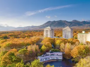 Hotel Epinard Nasu