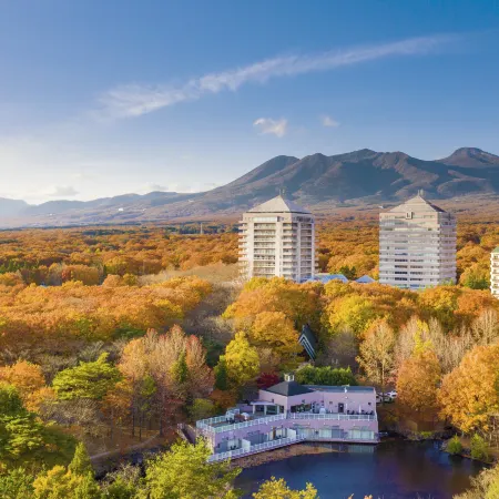 Hotel Epinard Nasu