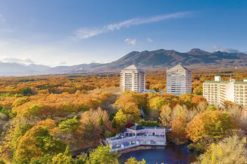 Hotel Epinard Nasu - Pools