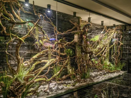 Yuelin International Hotel Отели рядом с достопримечательностью «Zhongkai University of Agriculture & Engineering»