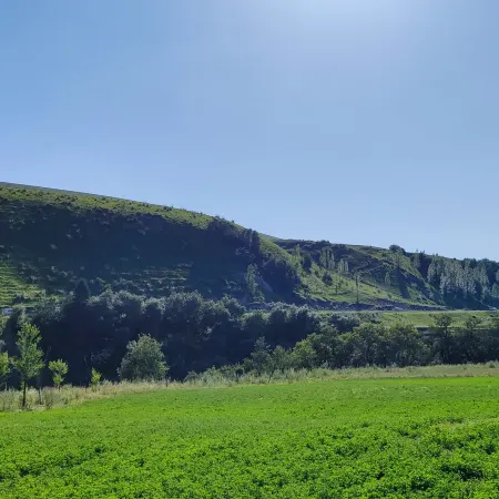 Yili nlk tuoye Camp.