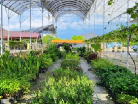 Grapevine Garden Hotels near Our Lady Queen Of Peace Catholic Church