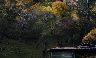 Lanping Shujiawu Township Luoguxuan Hiking Homestay
