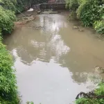蜀南竹海竹海庭園 - 駐車場