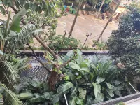Mengzi Junyi Homestay - ห้องครัว