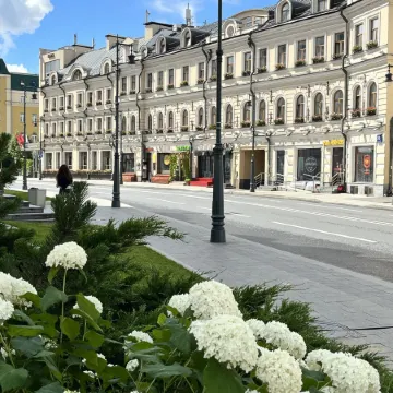 Амбассадори