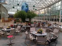 Qingguo Tree House Camping Hotel