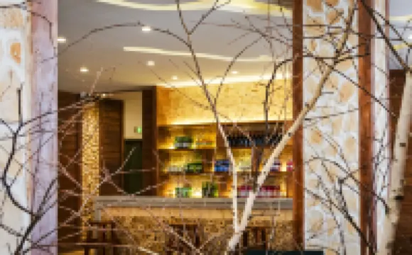 Ergunanhe Russian National Township Wangjian Linyue Hotel