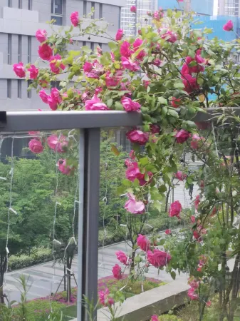 Nanjing South Railway Station Ziyi Tianyue Hotel