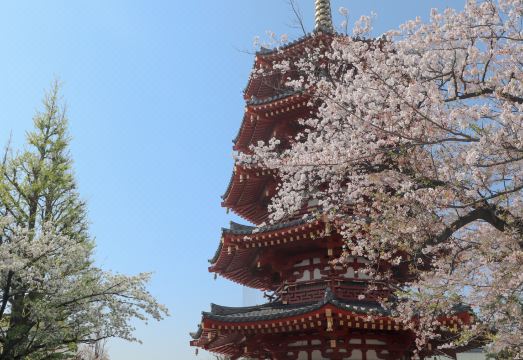 가와사키 킹 스카이프런트 도큐 레이 호텔