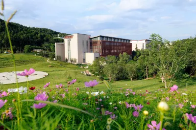 Yunhu Resort Hotels near Feilai Stone