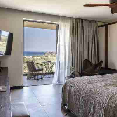 King Jason Zante – Designed for Adults Rooms