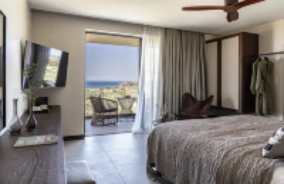 King Jason Zante – Designed for Adults