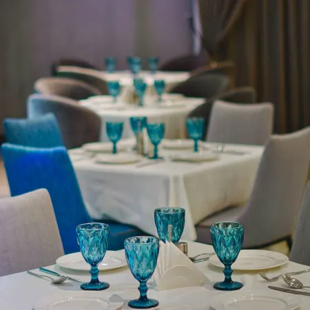 Krokus Plaza Hotel