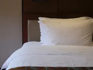 Jolie Vue Bontique Hotel（Elephant Trunk Hill and Two Rivers and Four Lakes ）